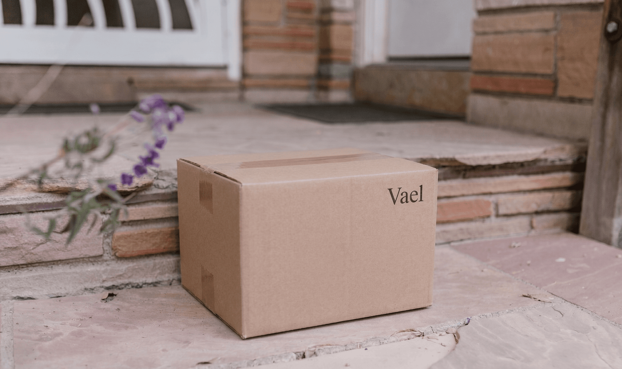 NAD+ kit arriving at the door